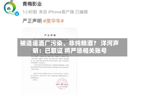 被造谣酒厂污染、非纯粮酒？ 洋河声明：已取证 将严惩相关账号-第2张图片