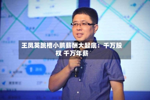 王凤英跳槽小鹏薪酬大起底：千万股权 千万年薪-第2张图片